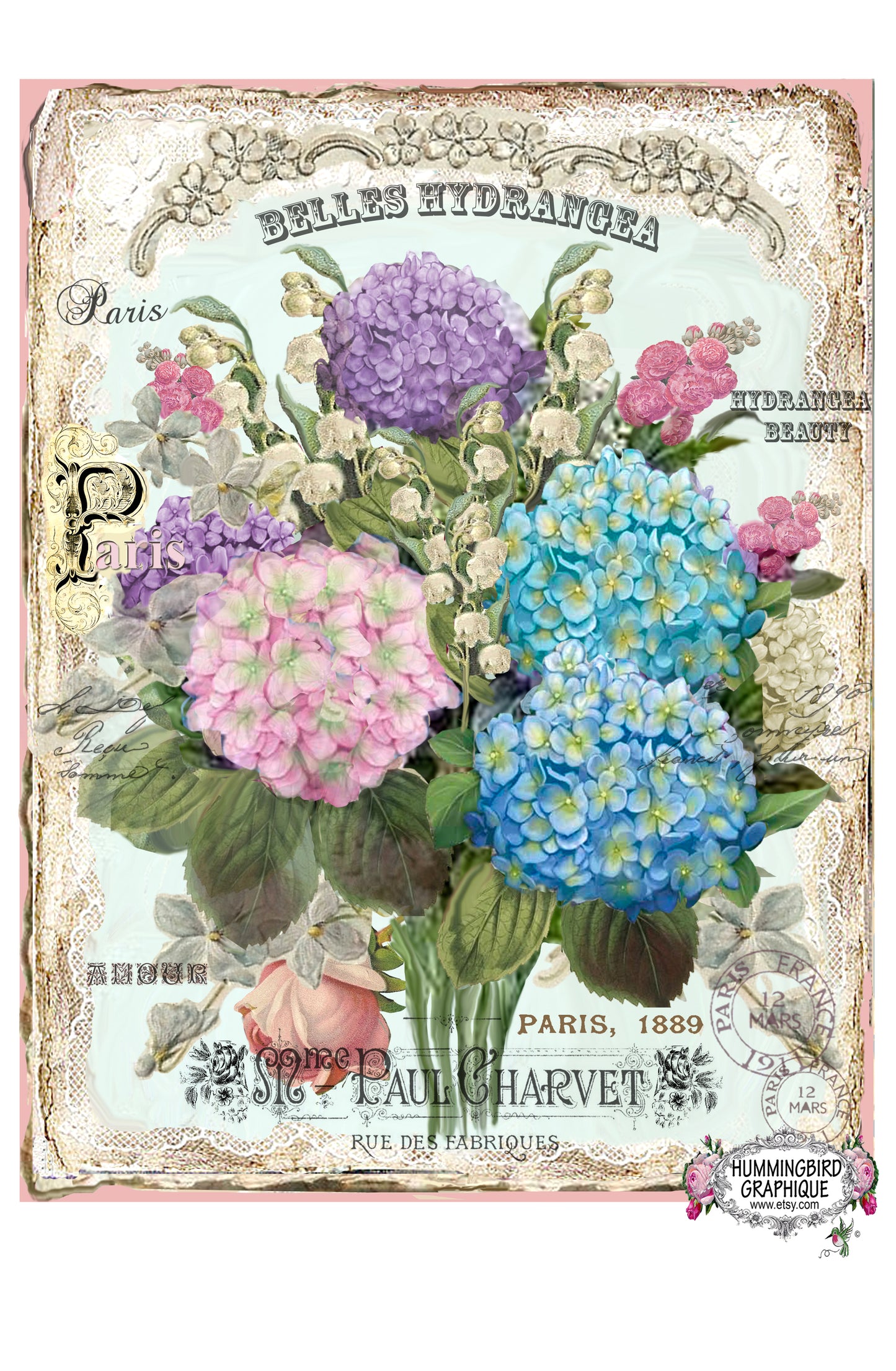#302 BEAUTIFUL ENCHANTING HYDRANGEA - BEAUTIFUL SHABBY IMAGE