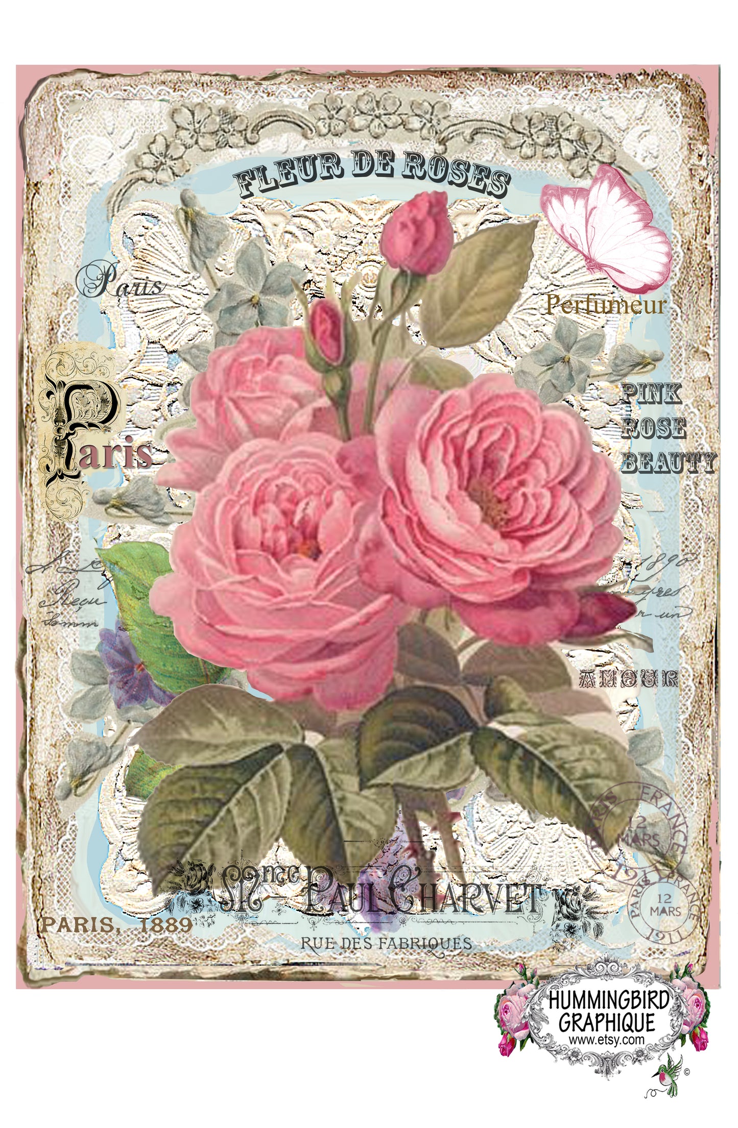 #312 BEAUTIFUL PINK ROSE BEAUTY WITH BUTTERFLY -BEAUTIFUL SHABBY IMAGE