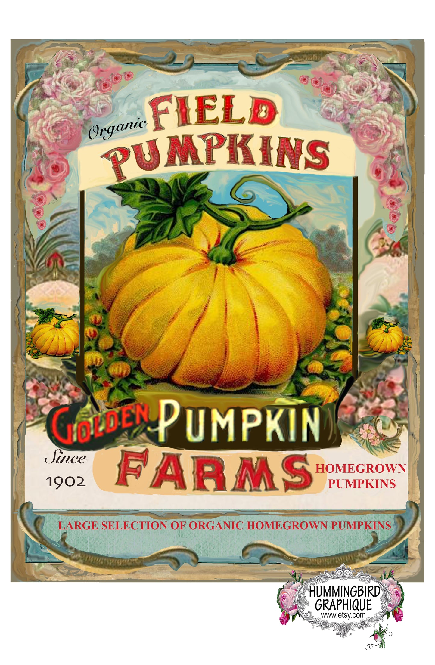 #337 FARMERS MARKET FIELD PUMPKINS FARMS - COUNTRY IMAGE
