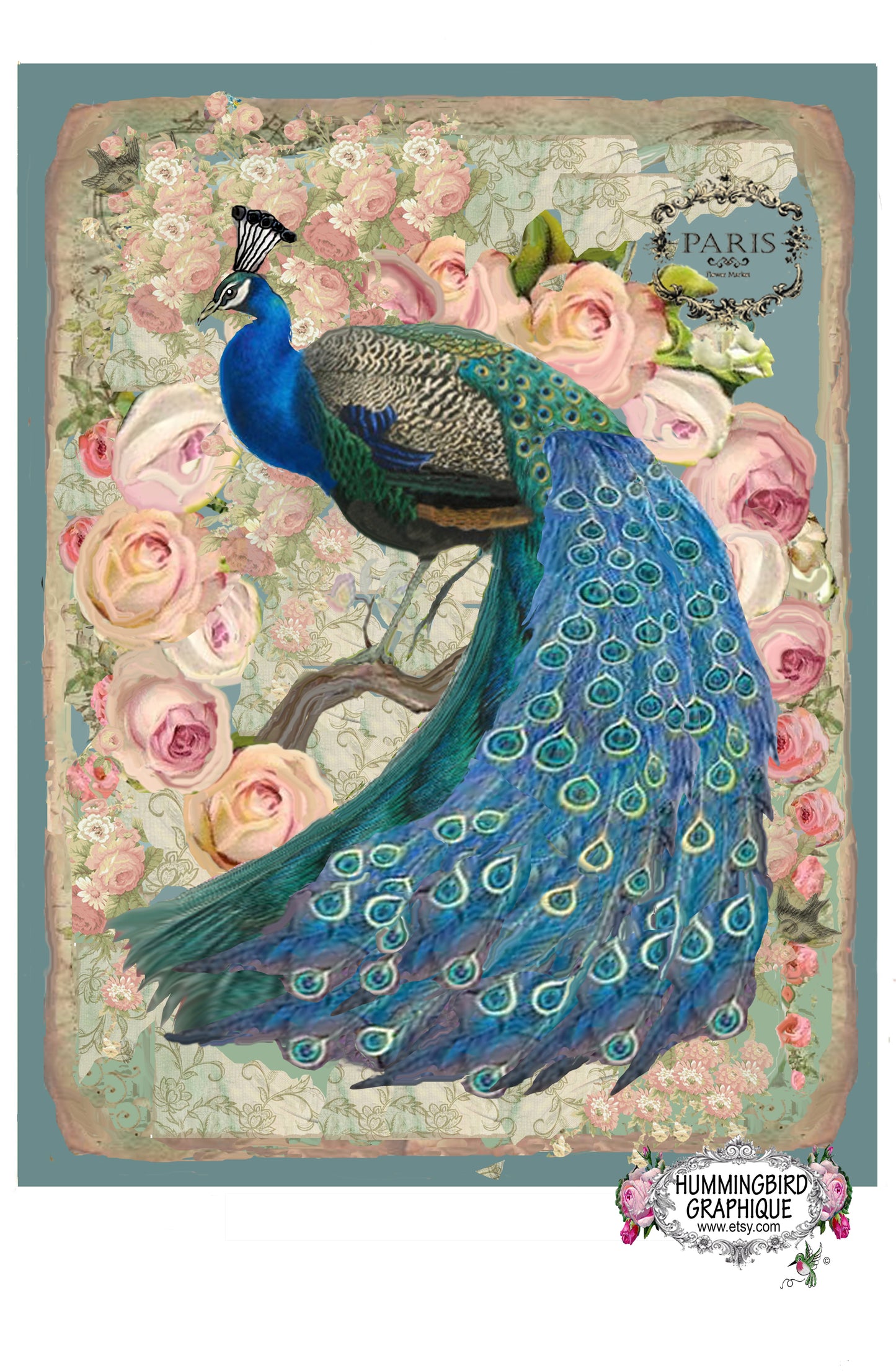 #78 BEAUTIFUL PEACOCK - BEAUTIFUL SHABBY IMAGE