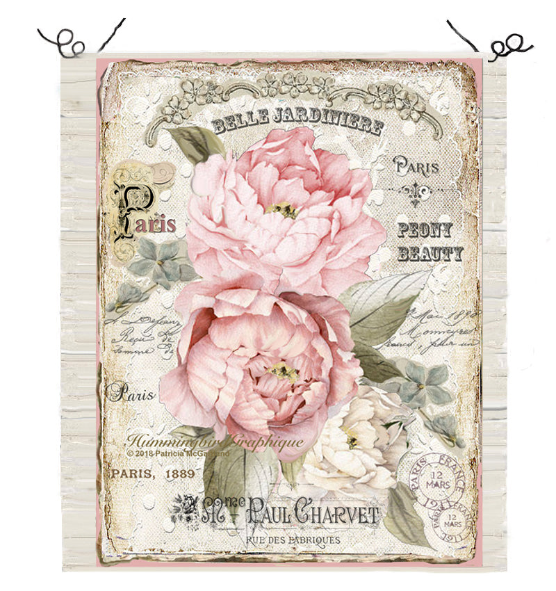 #297 ENCHANTED PEONY BEAUTY - BEAUTIFUL SHABBY IMAGE