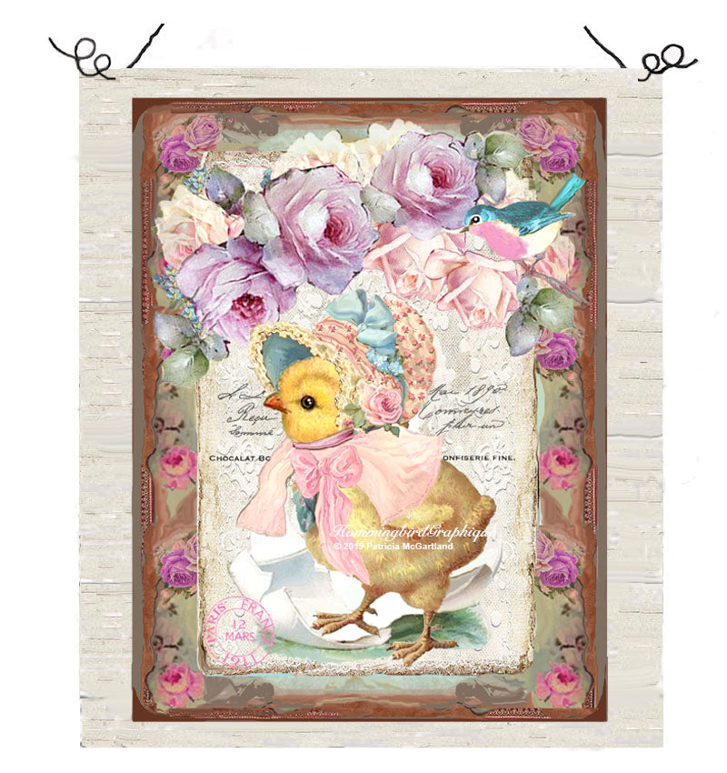 #444 PRECIOUS CHICK HATCHING FROM EGG WITH BONNET CAPE AND ROSES - BEAUTIFUL SHABBY IMAGE