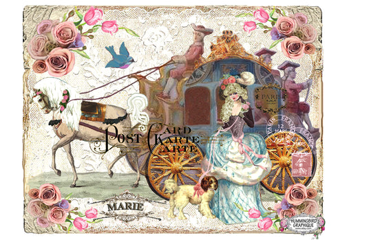 #205 HERMOSA MARÍA ANTONIETA CON CARRUAJE Y PÁJARO AZUL - HERMOSA IMAGEN SHABBY