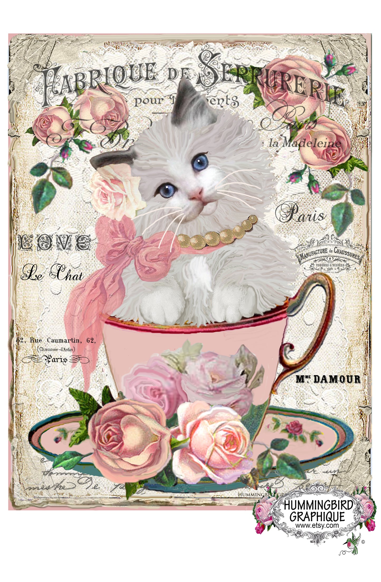 #217 BEAU CHATON DANS UNE TASSE DE THÉ AVEC DES ROSES - BELLE IMAGE SHABBY