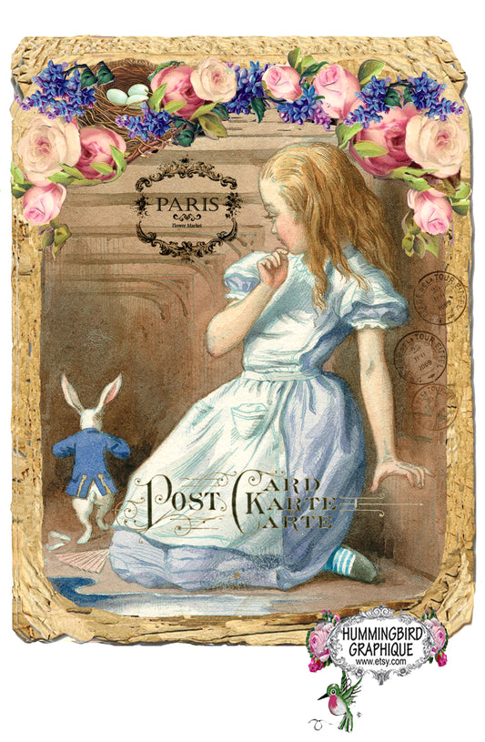 #23 ALICE IN WONDERLAND AND THE WHITE RABBIT - Alice and Wonderland