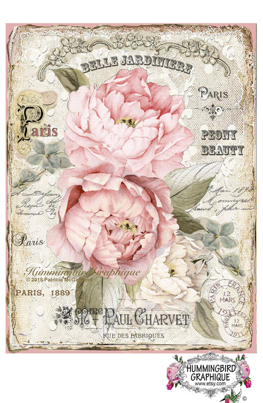 #297 ENCHANTED PEONY BEAUTY - BEAUTIFUL SHABBY IMAGE