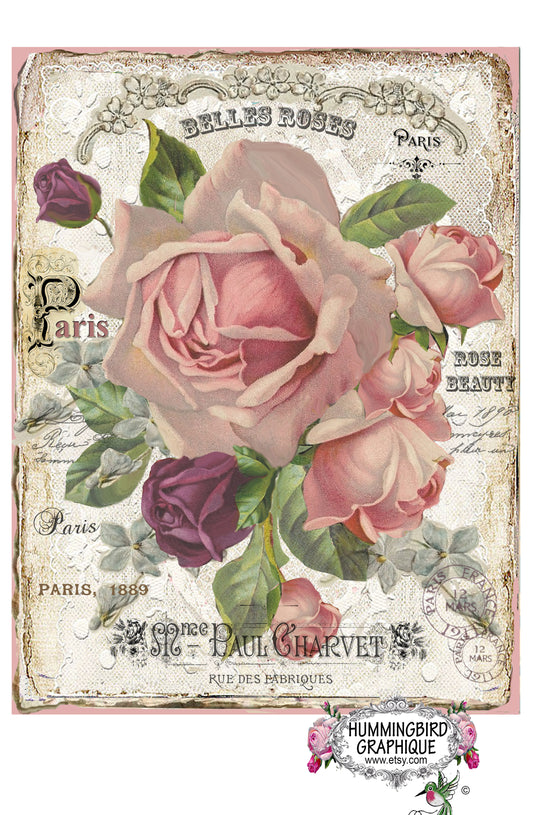 #298 BEAUTIFUL ENCHANTED ROSE BEAUTY - BEAUTIFUL SHABBY IMAGE