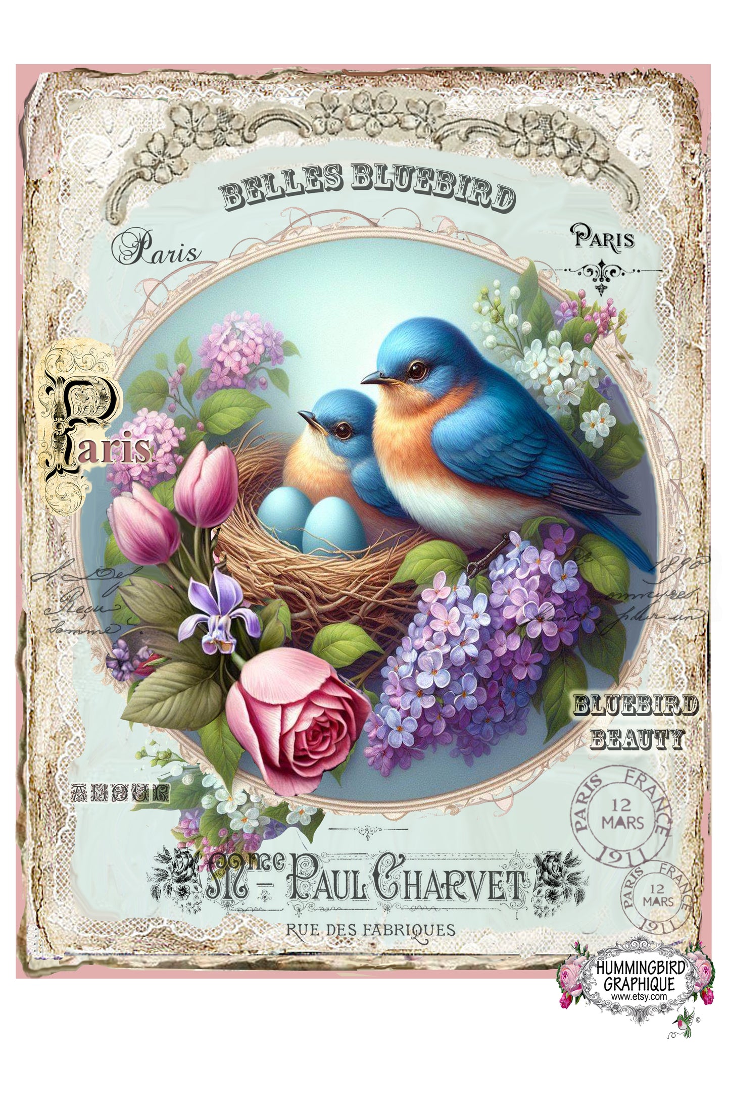 #301BB BEAUTIFUL BLUEBIRDS WITH FRENCH WORDS ON LACE - BEAUTIFUL SHABBY IMAGE