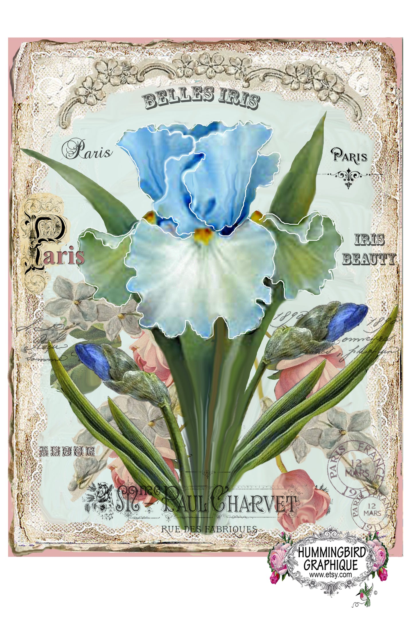 #301 IRIS BLEU ENCHANTANT - BELLE IMAGE SHABBY