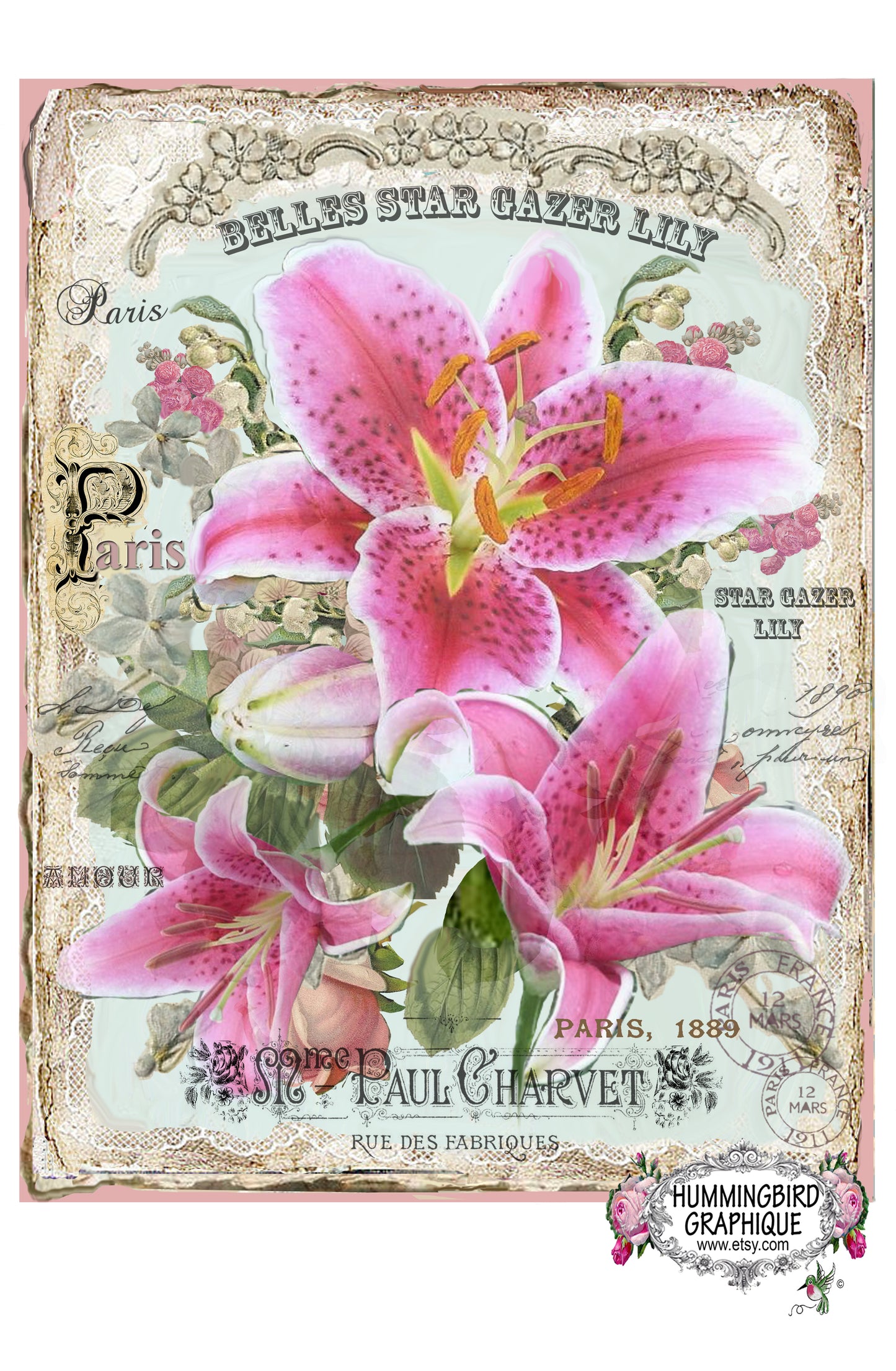 #304 BEAUTIFUL STAR GAZER PINK LILY - BEAUTIFUL SHABBY IMAGE