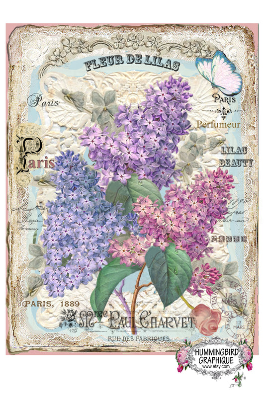 #309 HERMOSAS LILAS DE CABAÑA - HERMOSA IMAGEN SHABBY