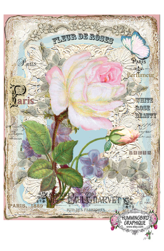 #311 HERMOSA ROSA BLANCA SOBRE ENCAJE - HERMOSA IMAGEN SHABBY