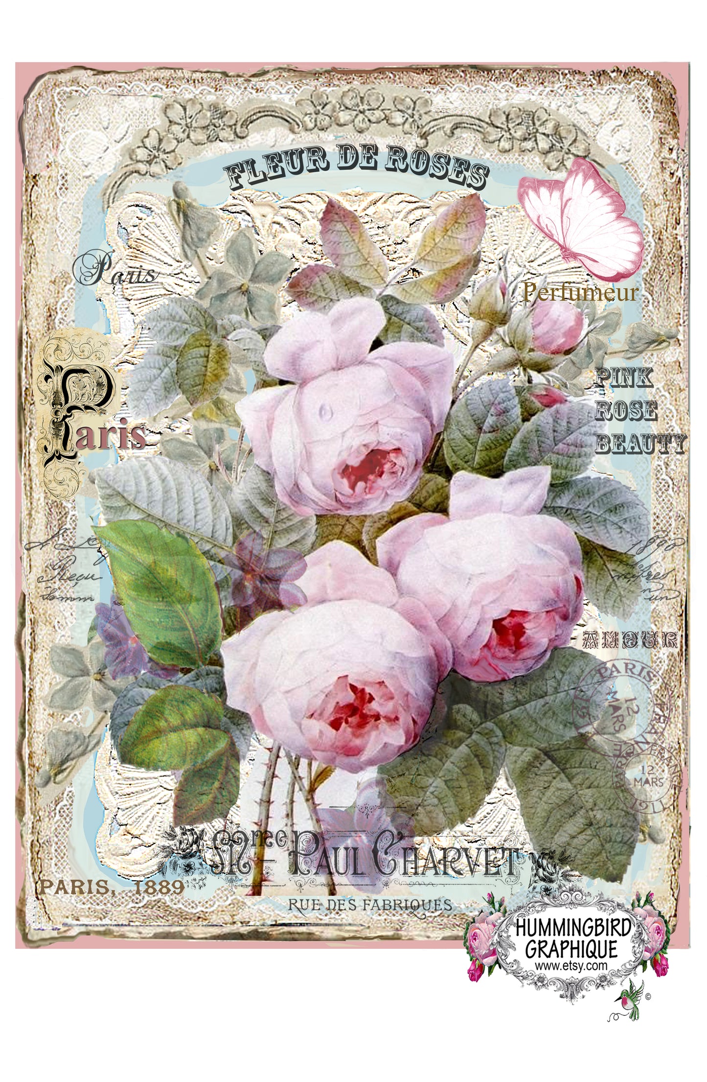 #315 ROSES ROSES ENCHANTANTES SUR DENTELLE - BELLE IMAGE SHABBY