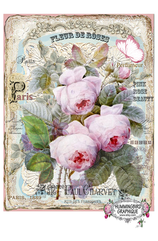 #315 ROSES ROSES ENCHANTANTES SUR DENTELLE - BELLE IMAGE SHABBY