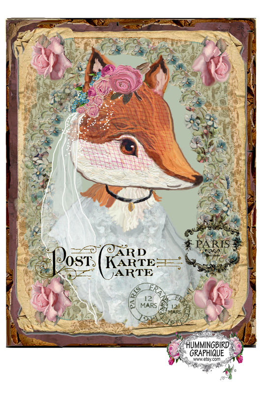 #324 PRÉCIEUSE MME FOX BRIDE - IMAGE DE CAMPAGNE