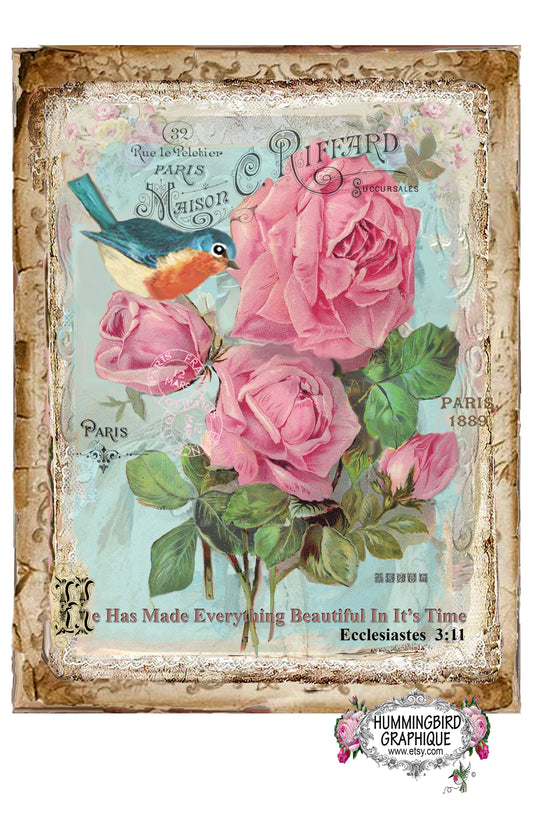 #357 BELLES ROSES ROSES ET MERLE BLEU - BELLE IMAGE SHABBY