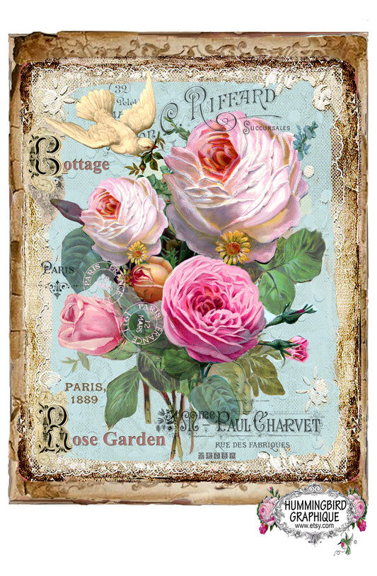 #375 COTTAGE ROSE GARDEN AVEC ROSES ET COLOMBE - BELLE IMAGE SHABBY