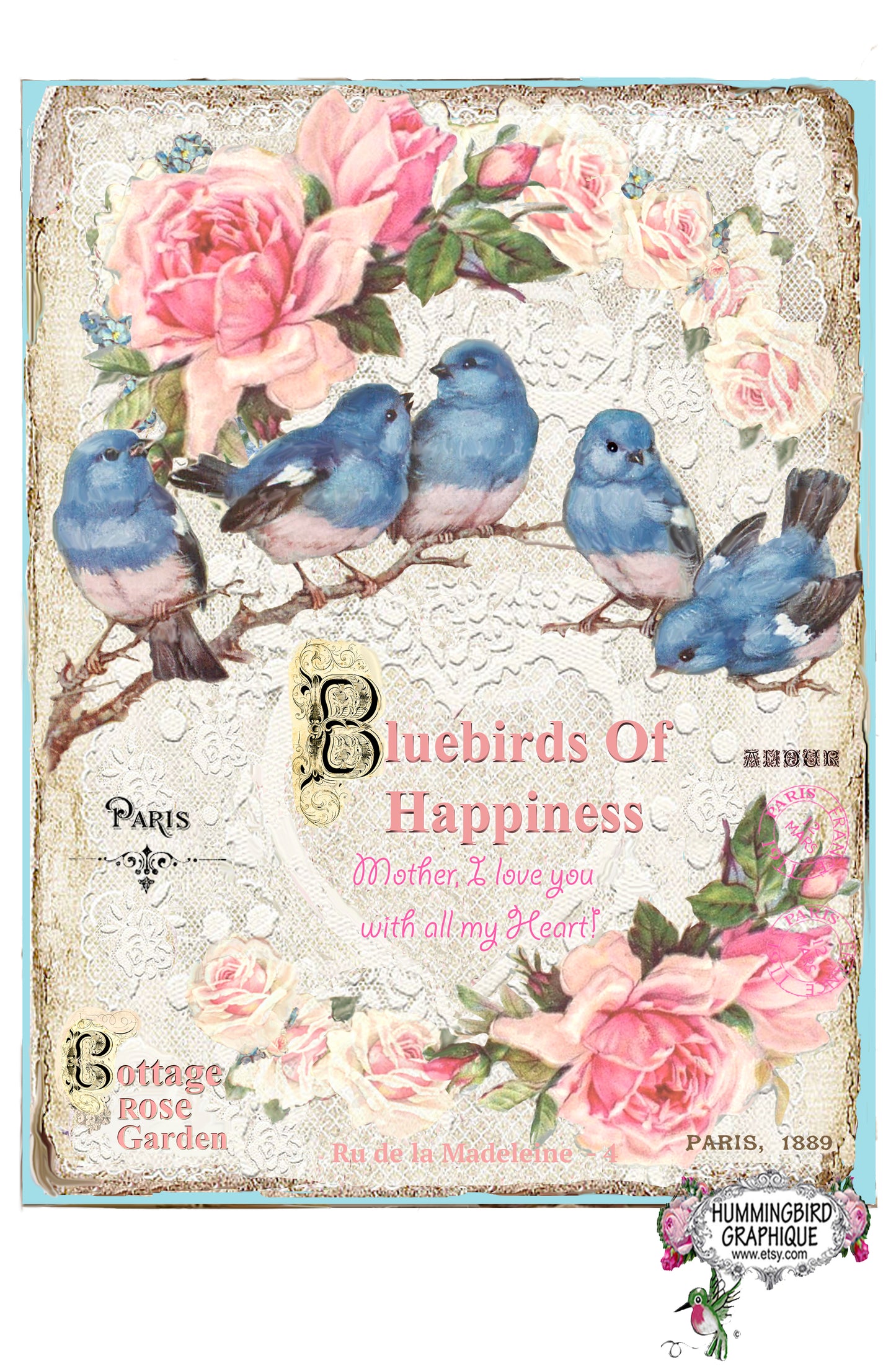 #398 BLUEBIRDS OF HAPPINESS COTTAGE ROSE GARDEN - BELLE IMAGE SHABBY