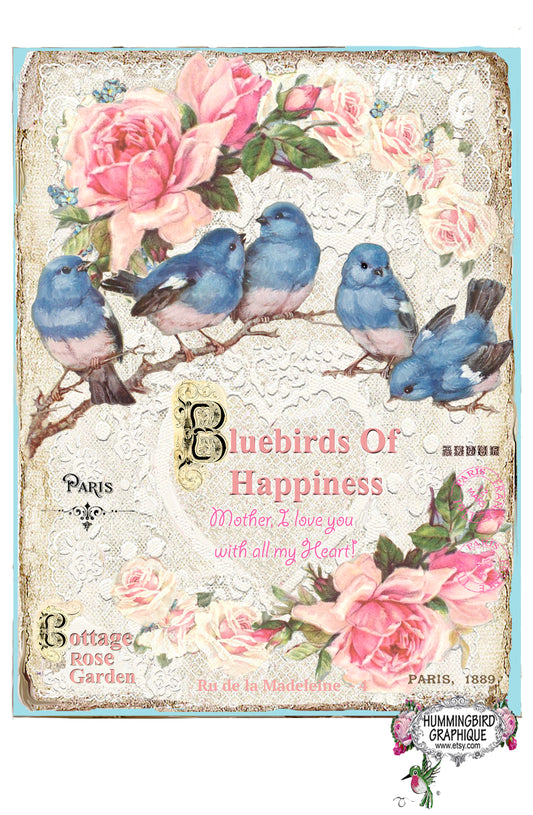 #398 BLUEBIRDS OF HAPPINESS COTTAGE ROSE GARDEN - BELLE IMAGE SHABBY