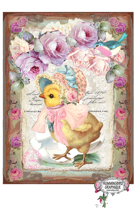 #444 PRECIOSO POLLITO SALIENDO DEL HUEVO CON CAPA Y ROSAS - HERMOSA IMAGEN SHABBY