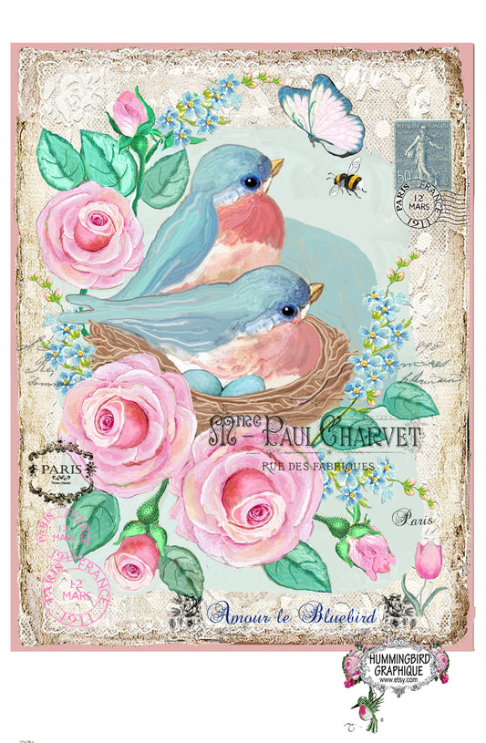 #617 BEAUX MERLES BLEUS DANS UN NID AVEC DES ROSES ET UNE ABEILLE - BELLE IMAGE SHABBY