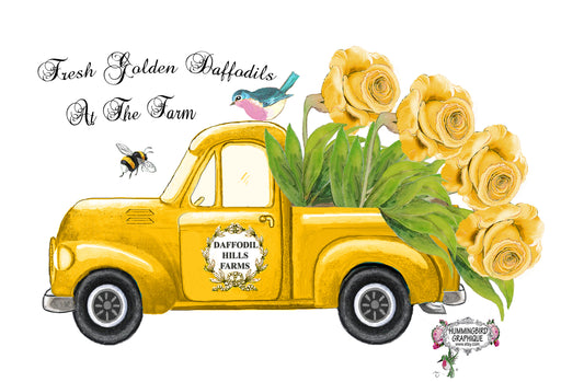 #620 FRESH GOLDEN DAFFODILLS AT THE FARM TRUCK - COUNTRY IMAGE