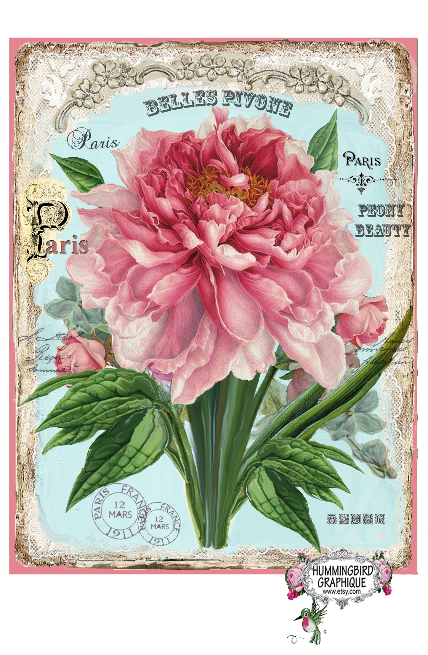 #622 BELLE PIVOINE ET DENTELLE - BELLE IMAGE SHABBY